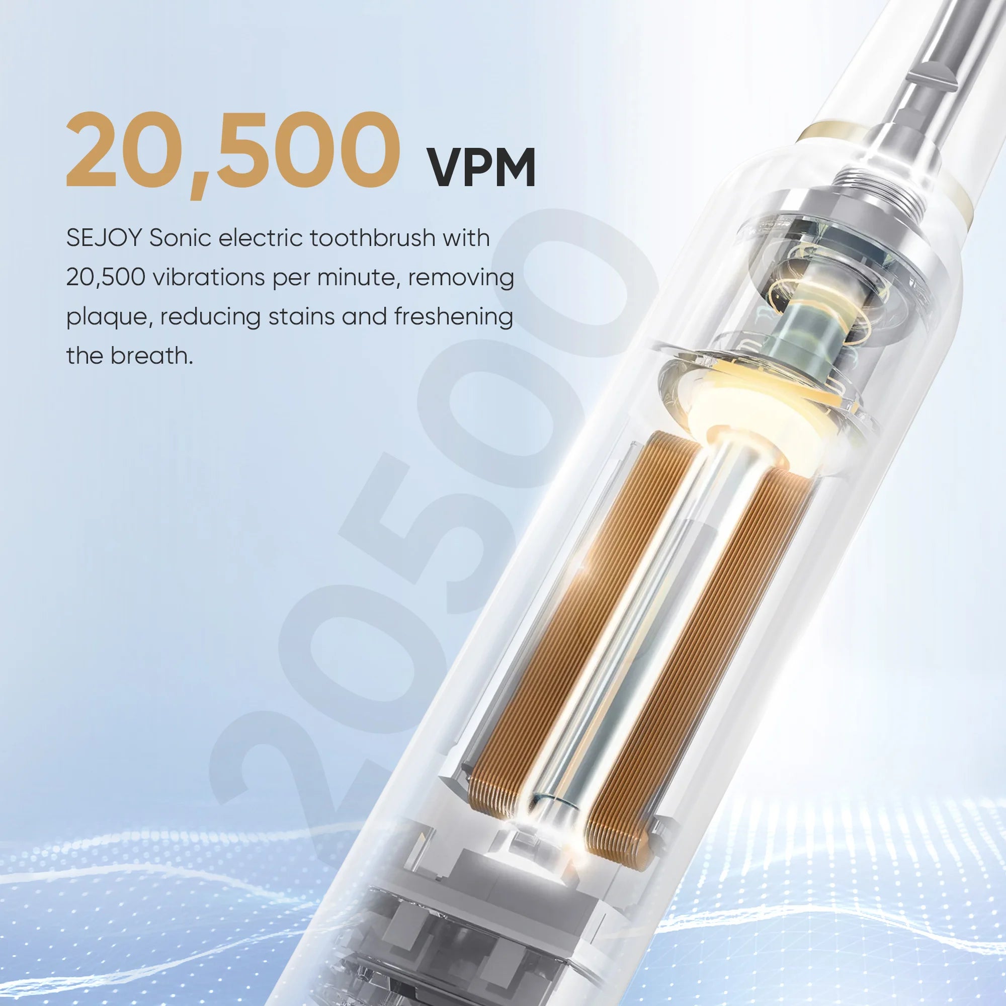 Sejoy Sonic Toothbrush 8 Heads 5 Modes